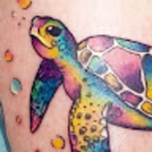 Meet your Posher, Aliciastarr